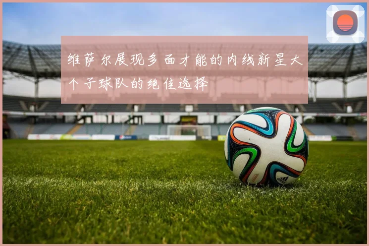 维萨尔展现多面才能的内线新星大个子球队的绝佳选择