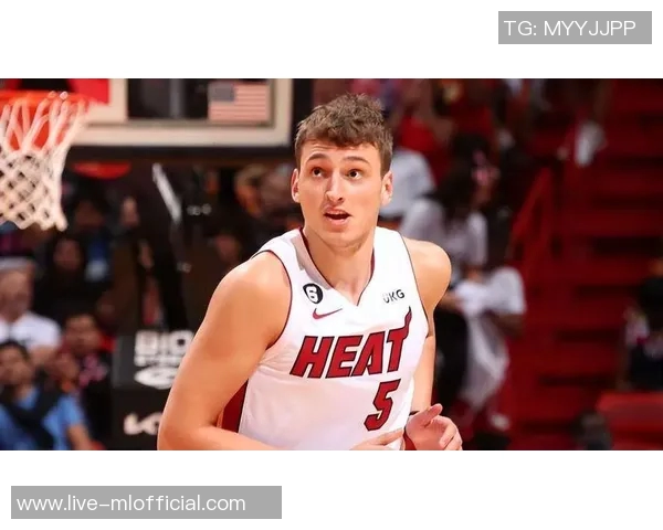 热火与约维奇签下四年全额保障续约合同总值6240万 热火与约维奇签下四年全额保障续约合同总值6240万